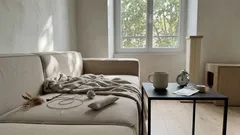 Pourquoi mon chat mord quand je le caresse et comment l’éviter