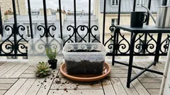 Transformer une boîte en plastique en pot de fleur : le guide simple (et le drainage qui change tout)