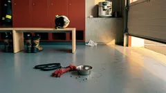 Pourquoi un chien de caserne change l’ambiance chez les pompiers